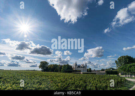 Château Pichon Baron , vignoble à Médoc, Margeaux, vigne, Bordeaux, Gironde, Aquitaine, France, Europe, Banque D'Images