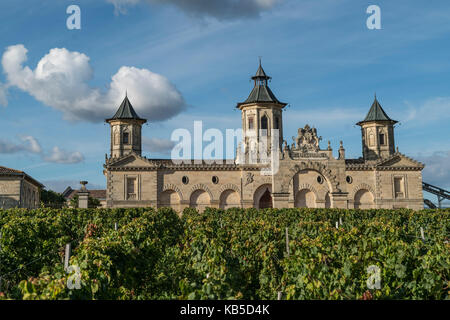 Cos d Estournel, vignobles en Médoc, Bordeaux, Gironde, Aquitaine, France, Europe, Banque D'Images