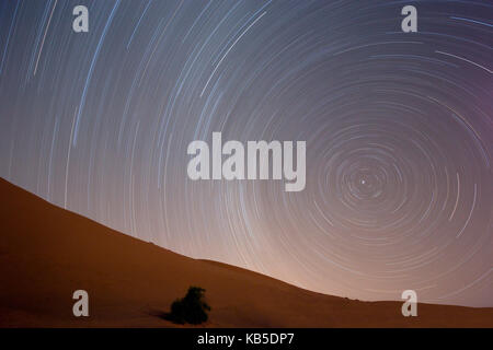 Star Trails dans ciel nocturne autour de l'étoile polaire (Polaris) sur les dunes de l'erg Chebbi près de la mer de sable merzouga, Maroc Banque D'Images