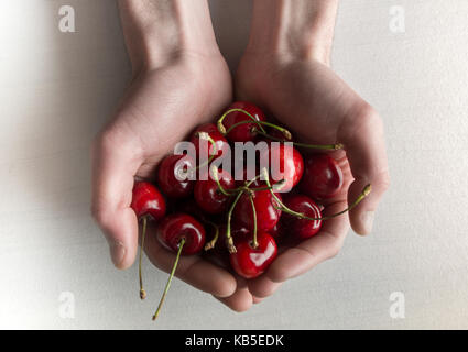 Homme tenant les cerises acides (top view cerise.. rouge cerise. cerises fraîches. Cerise sur fond blanc et cirée . fruits sains. Banque D'Images