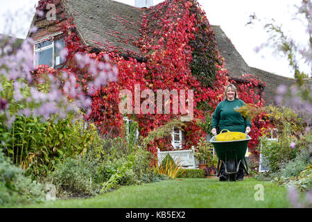 Praticien de l'horticulture champs judith promenades avec sa brouette à travers les couleurs automnales sur l'affichage à bord de la maison et les jardins de Birmingham. Banque D'Images