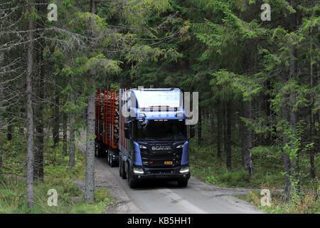 Laukaa, Finlande - le 22 septembre 2017 : blue scania r650 xt logging truck apparaît entre les épinettes sur un essai de route le long de la route forestière au cours de Scania l Banque D'Images