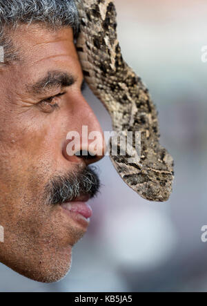 Charmeur de serpent, place Djemaa el Fna, Marrakech, Maroc, Afrique du Nord, Afrique Banque D'Images