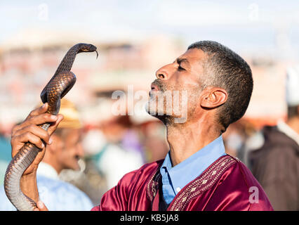 Charmeur de serpent, place Djemaa el Fna, Marrakech, Maroc, Afrique du Nord, Afrique Banque D'Images