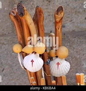 Coquilles Saint-Jacques (Saint James) et cannes à Santiago de Compostelle, Galice, Espagne Banque D'Images