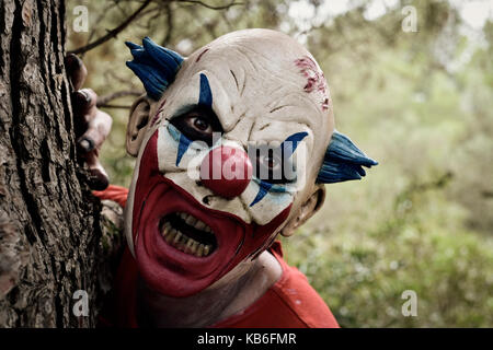 Libre de scary clown maléfique portant un costume sale, popping dans de derrière un arbre dans les bois Banque D'Images