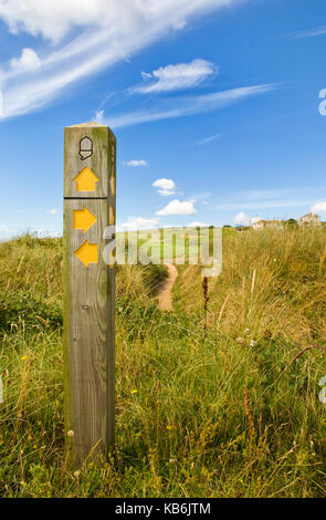 Waymarker en bois avec flèches jaunes et acorn logo sur le south west coast path à thurlestone golf course, Devon, UK Banque D'Images