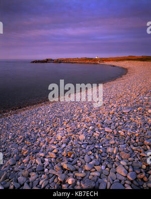 Channel Islands. Guernesey. Fontenelle Bay. Plage de galets en fin de soirée. Banque D'Images