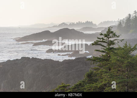 Ucluelet (Colombie-Britannique), Canada - 9 septembre 2017 : west pacific trail près de Ucluelet, sur un jour de pluie Banque D'Images