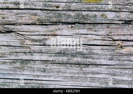 La texture du bois - dark fibre détruit de vieux bâtiments en bois. Banque D'Images