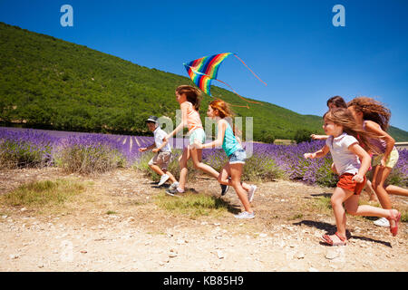 Heureux les enfants flying kite colorés en été Banque D'Images