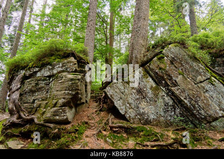 De gros rochers avec des arbres Banque D'Images