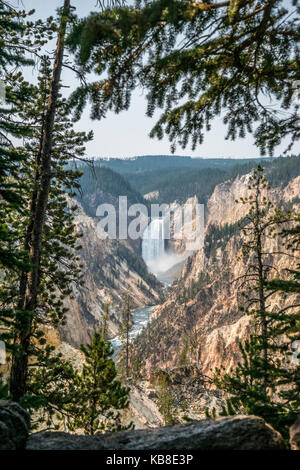 Canyon de Yellowstone et cascade inférieure avec la rivière Yellowstone d'artistes View Point Banque D'Images