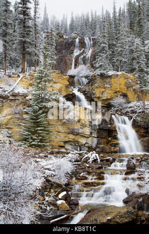 Vue d'hiver de chutes Tangle Creek dans le parc national Jasper, Alberta, Canada Banque D'Images