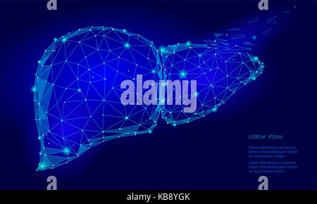 La régénération du foie humain carie traitement organe interne faible. poly triangle bleu points connecté la technologie couleur modèle 3d'un corps en santé médecine partie vector illustration Illustration de Vecteur