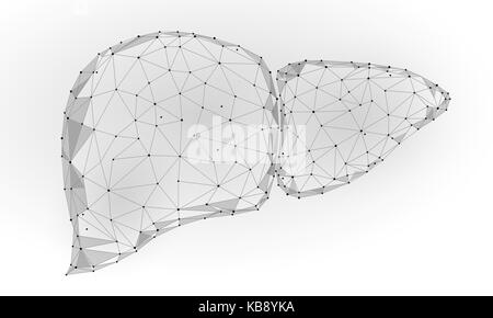 Les droits de l'organe interne du foie basse triangle bleu points connectés. poly technologie couleur médecine modèle 3d corps sain partie vector illustration Illustration de Vecteur