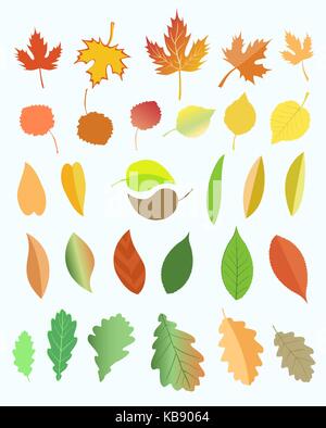 Les feuilles d'automne. Illustration de Vecteur