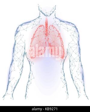 L'infection pulmonaire les poumons organe interne. Système respiratoire à l'intérieur corps silhouette. low poly 3d connecté points polygonaux. design triangle rouge bleu fond couleur vector illustration Illustration de Vecteur