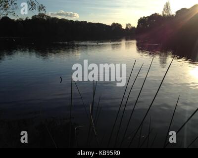 Lac à Nottingham wollaton park en novembre Banque D'Images