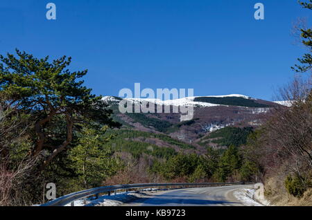 Panorama d'hiver paysage de forêts de feuillus et de pins avec road dans la montagne Vitosha, Bulgarie Banque D'Images