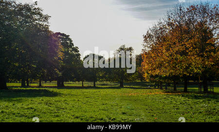 Paysage d'automne au parc de Nottingham wollaton angleterre Banque D'Images