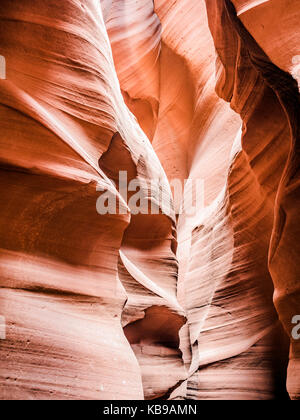 À la partie supérieure de naturelle Antelope Canyon - la fissure - le tire-bouchon, Arizona, AZ, États-Unis d'Amérique - vue à l'intérieur de l'antilope supérieur cayon, une fente de grès ca Banque D'Images