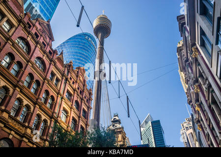 L'Australie, New South Wales, Sydney, vue de la Tour de Sydney à partir de la rue Pitt, à 309 mètres de la plus haute structure de Sydney Banque D'Images