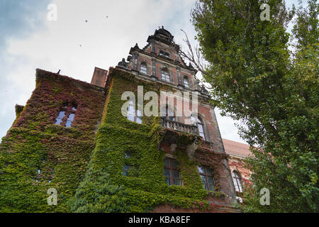 Musée national de Wroclaw, Pologne. Banque D'Images