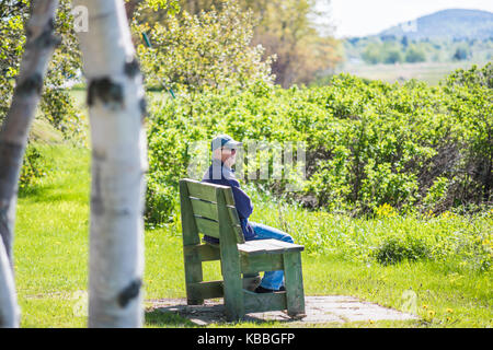 Rimouski, Canada - le 4 juin 2017 : Senior man sitting on bench bénéficiant, à regarder le fleuve Saint-Laurent au Québec avec vue sur la plage des bouleaux en été Banque D'Images