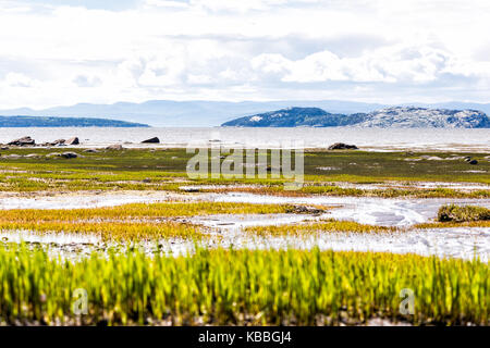 Saint Lawrence River beach, à Kamouraska, Québec, Canada avec de l'herbe, l'eau peu profonde et les flaques, et les grands blocs de roche Banque D'Images