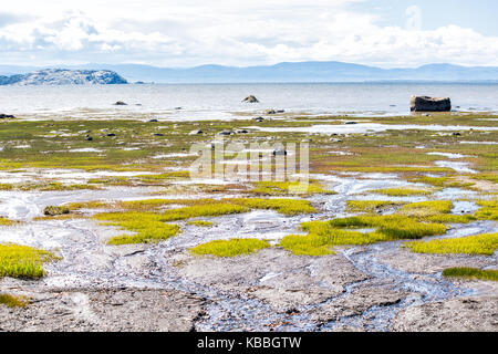 Saint Lawrence River beach, à Kamouraska, Québec, Canada avec de l'herbe, l'eau peu profonde et les flaques, et les grands blocs de roche Banque D'Images