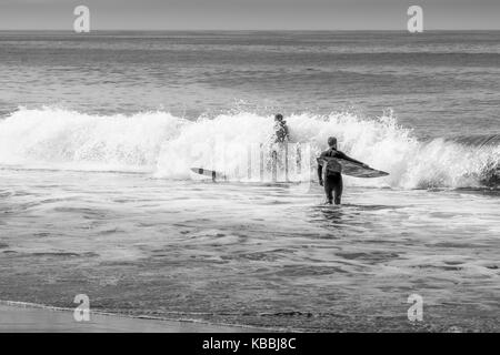 Longboard surf dans l'océan Pacifique au large de Cape Kiwanda, Pacific City, Oregon, United States. Banque D'Images