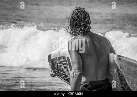 Un internaute examine les conditions de surf lorsqu'il entrera dans l'océan Pacifique au large de Cape Kiwanda, Pacific City, Oregon, United States. Banque D'Images