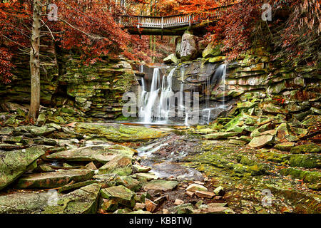 Elakala cascade dans le parc d'état de Blackwater Falls en Virginie de l'Ouest au cours de l'automne avec les feuilles rouges feuillage Banque D'Images