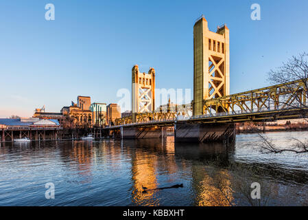 Gold Tower Bridge à Sacramento en Californie pendant le coucher du soleil bleu avec le centre-ville et d'oie sur journal flottant Banque D'Images