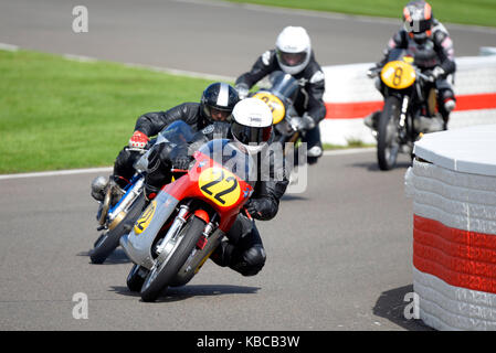 1966 MV Agusta 500/3 administré par Joaquin Folch Rusinol course à Goodwood Revival 2017. L'espace pour copier