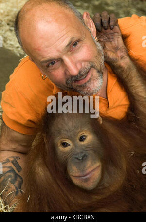 Jeremy keeling, co fondateur de monkey world dans le Dorset, avec un jeune orang utang, Banque D'Images