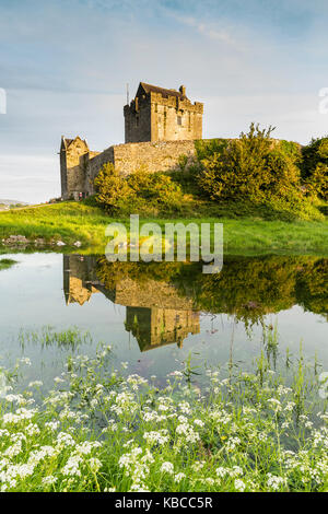 Dunguaire castle, comté de Galway, connacht province, république d'Irlande, Europe Banque D'Images