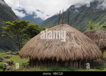 Cabane dans la tribu Dani Baliem Valley, Papouasie, Indonésie Banque D'Images
