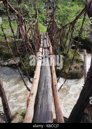 Pont en bois dans le préhistorique Baliem Valley, Papouasie, Indonésie Banque D'Images