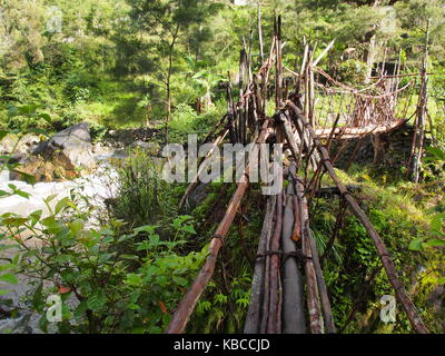 Pont en bois dans le préhistorique Baliem Valley, Papouasie, Indonésie Banque D'Images