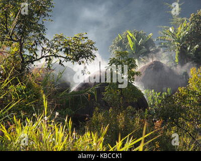 Dans le village de la tribu Dani Baliem Valley tôt le matin, la Papouasie, Indonésie Banque D'Images