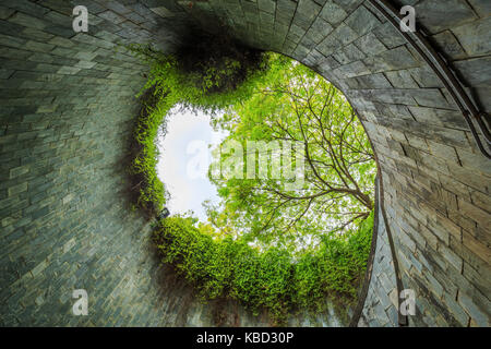 Passage souterrain en tunnel à Fort Canning Park, Singapore Banque D'Images