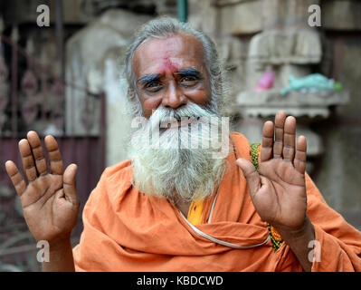 Vieux sadhu shaivite (saint homme hindou qui vénère shiva) avec barbe blanche s'élever ses deux mains pour donner une bénédiction et à la recherche dans l'appareil photo Banque D'Images