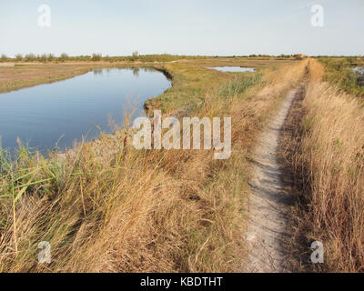 Vue d'ensemble sur l'saltmarsh autour de Lio Piccolo, près de Venise Banque D'Images