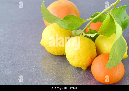 Frais de collecte d'agrumes oranges, citrons et mandarines sur un fond abstrait gris. style de vie méditerranéen. alimentation saine. Banque D'Images