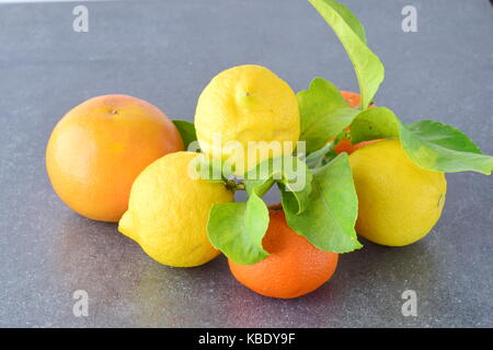 Frais de collecte d'agrumes oranges, citrons et mandarines sur un fond abstrait gris. style de vie méditerranéen. alimentation saine. Banque D'Images