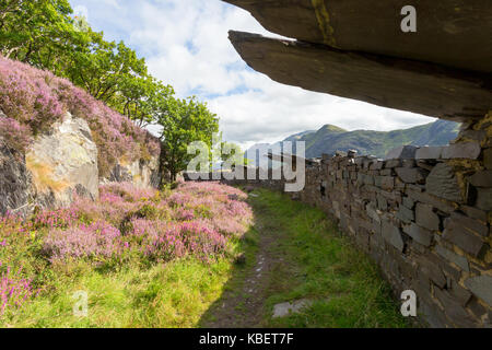 Abri d'ardoise par un muret de pierres sèches, Dinorwic ardoise, au nord du Pays de Galles UK Banque D'Images