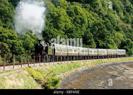 Départ en train à vapeur sur la Kingswear Dartmouth Steam Railway, tiré par GWR 2-8-0T No 4277 Hercules. Banque D'Images