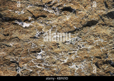 La texture de la pierre avec des veines blanches. Probablement, travertin ou granit gneissique. Banque D'Images